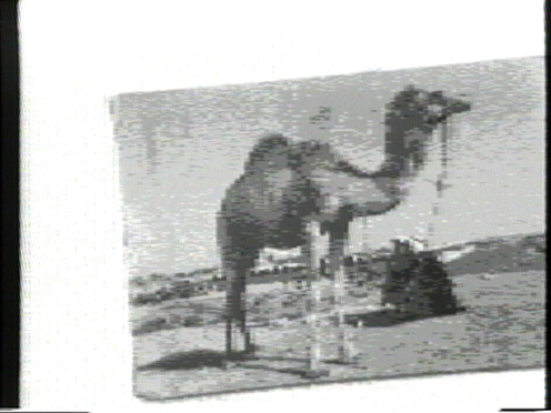 Peer Bode video still from Camel with Window Memory 1983